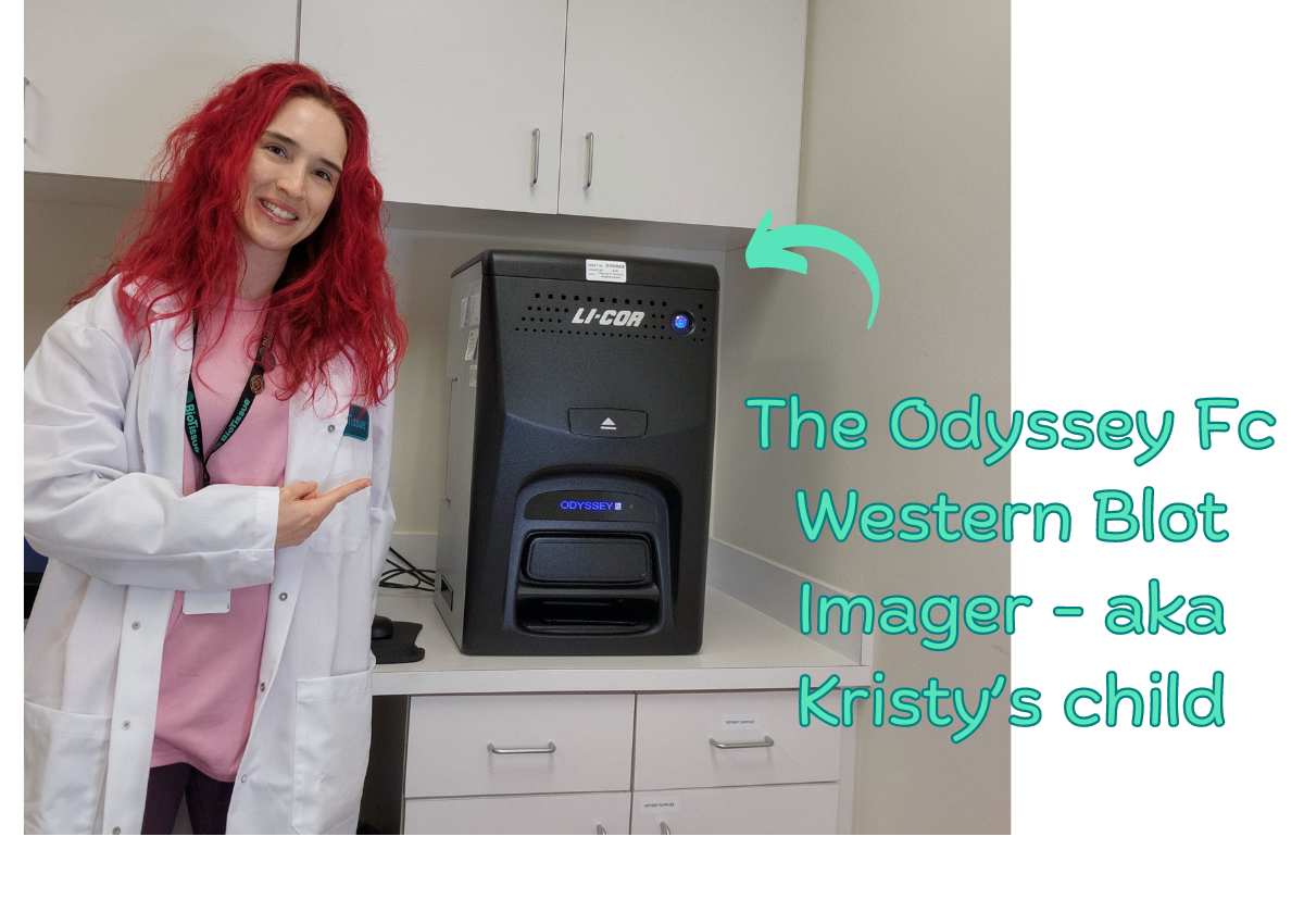 A picture of Kristy in the lab next to a benchtop gel imager.
            an arrow points to the machine and a textbox reads, 'The Odyssey Fc Western Imager, aka Kristy's child